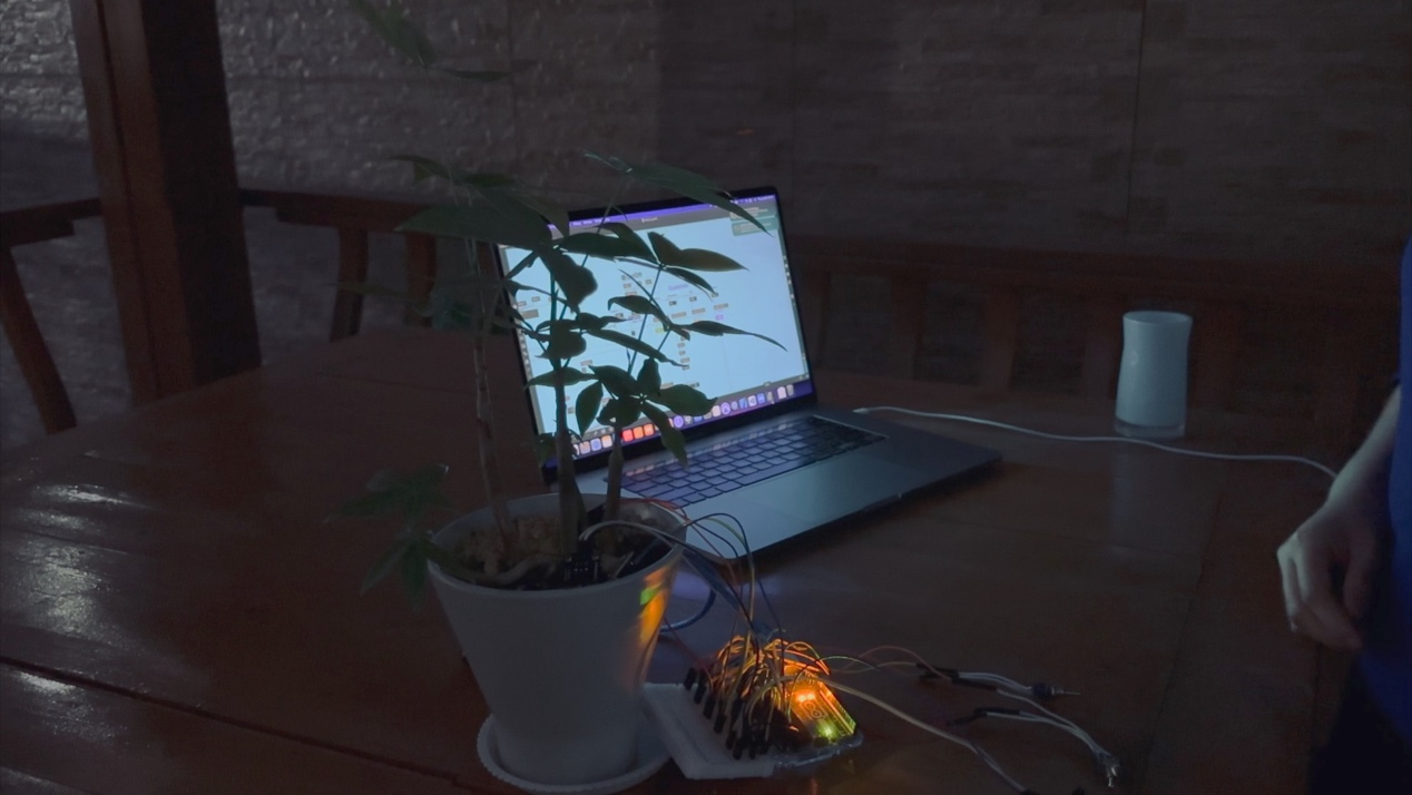 Plant (2023)